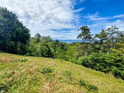 Titled Bocas del Toro Coastal Land 11.5 Acres - image 21