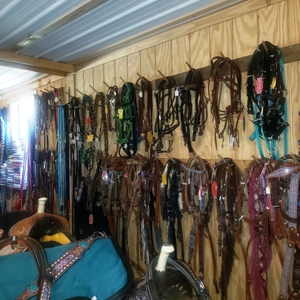 Horse Tack Business & Home For Sale in Sharp County, AR - image 24