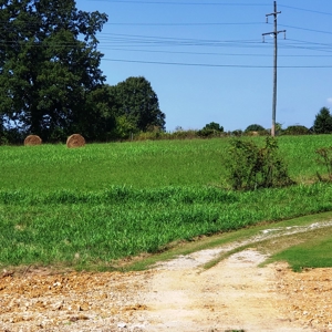 Horse Tack Business & Home For Sale in Sharp County, AR - image 5