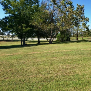 Horse Tack Business & Home For Sale in Sharp County, AR - image 19