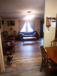 Horse Tack Business & Home For Sale in Sharp County, AR - image 29