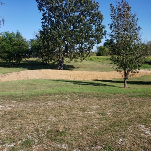 Horse Tack Business & Home For Sale in Sharp County, AR - image 17