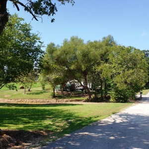 Horse Tack Business & Home For Sale in Sharp County, AR - image 11