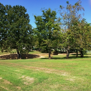 Horse Tack Business & Home For Sale in Sharp County, AR - image 4