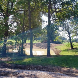 Horse Tack Business & Home For Sale in Sharp County, AR - image 13