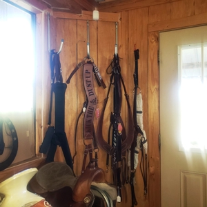 Horse Tack Business & Home For Sale in Sharp County, AR - image 22