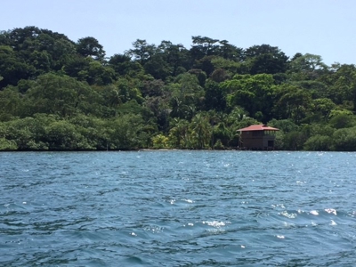 Coastal Oceanfront Lot on Solarte, Bocas del Toro Panama - image 4