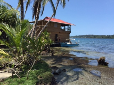Coastal Oceanfront Lot on Solarte, Bocas del Toro Panama - image 7