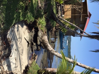 Coastal Oceanfront Lot on Solarte, Bocas del Toro Panama - image 6