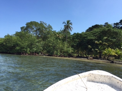Coastal Oceanfront Lot on Solarte, Bocas del Toro Panama - image 2