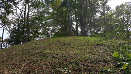 Titled Jungle Lots on Isla Solarte, Bocas del Toro - image 5