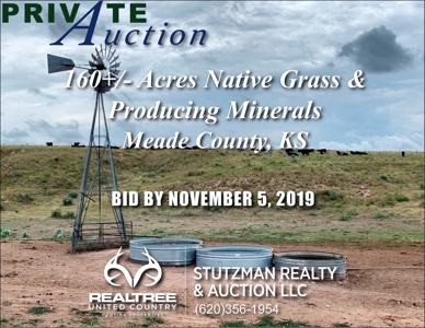 Meade County Ks 160+/- Acres Grass & Producing Minerals - image 1