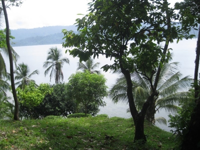 PRICE REDUCED Coastal Oceanfront Eco Villas Bocas del Toro - image 6