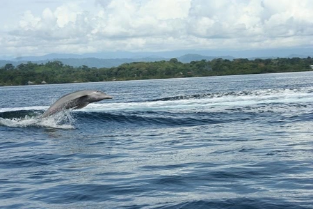 PRICE REDUCED Coastal Oceanfront Eco Villas Bocas del Toro - image 3