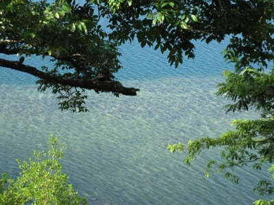 PRICE REDUCED Coastal Oceanfront Eco Villas Bocas del Toro - image 5