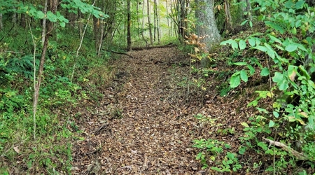 76 acre Hunting property in Adams & Highland County Ohio - image 36