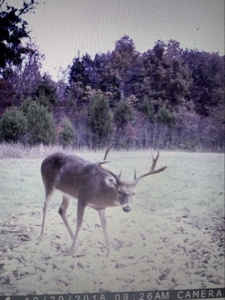 76 acre Hunting property in Adams & Highland County Ohio - image 48