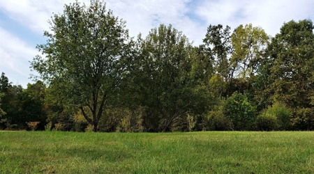76 acre Hunting property in Adams & Highland County Ohio - image 19