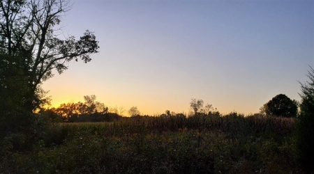 76 acre Hunting property in Adams & Highland County Ohio - image 45