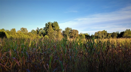 76 acre Hunting property in Adams & Highland County Ohio - image 22