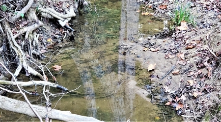 76 acre Hunting property in Adams & Highland County Ohio - image 38