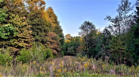 76 acre Hunting property in Adams & Highland County Ohio - image 42