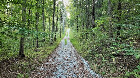 76 acre Hunting property in Adams & Highland County Ohio - image 39