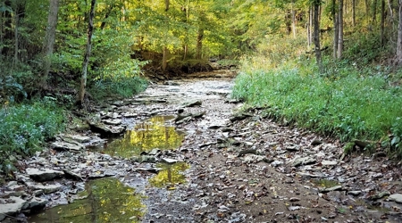 76 acre Hunting property in Adams & Highland County Ohio - image 23