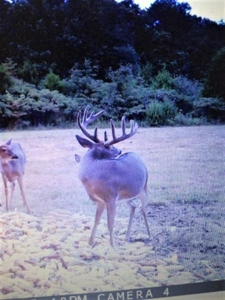 76 acre Hunting property in Adams & Highland County Ohio - image 47