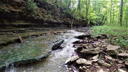 76 acre Hunting property in Adams & Highland County Ohio - image 46