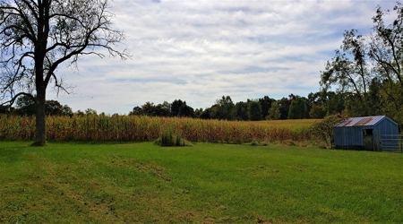 76 acre Hunting property in Adams & Highland County Ohio - image 20