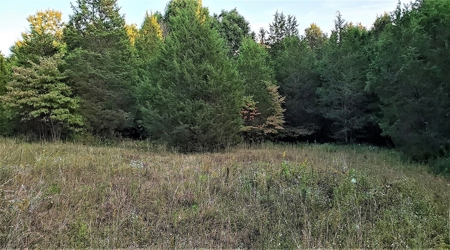 76 acre Hunting property in Adams & Highland County Ohio - image 44