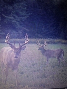 76 acre Hunting property in Adams & Highland County Ohio - image 49