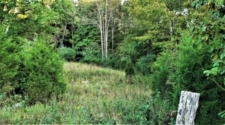 76 acre Hunting property in Adams & Highland County Ohio - image 40