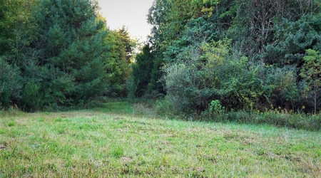 76 acre Hunting property in Adams & Highland County Ohio - image 26