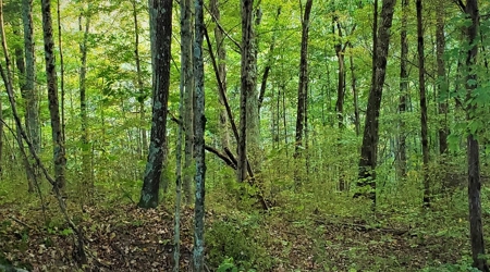 76 acre Hunting property in Adams & Highland County Ohio - image 31