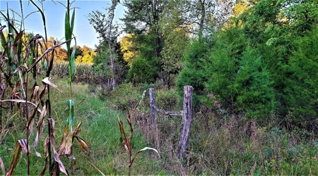 76 acre Hunting property in Adams & Highland County Ohio - image 41