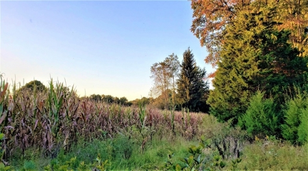 76 acre Hunting property in Adams & Highland County Ohio - image 43