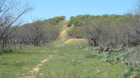 160 +/- acres Ranch, Recreation, Hunting Land For Sale in TX - image 3