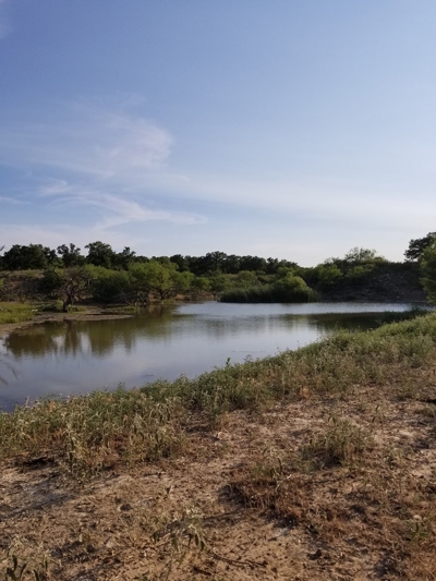 160 +/- acres Ranch, Recreation, Hunting Land For Sale in TX