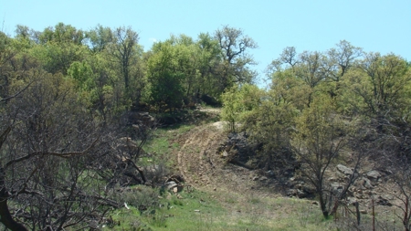 160 +/- acres Ranch, Recreation, Hunting Land For Sale in TX - image 5