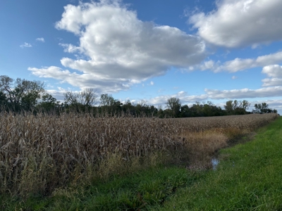 Daviess County Mo 80 Acres And Home For Sale - image 21