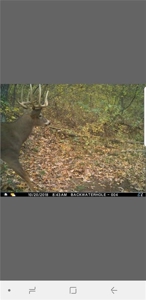 Hunting Property in Buffalo County, WI - image 2