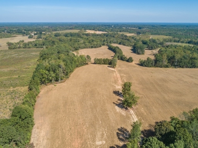 Farmland In Southern VA - image 5