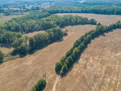 Farmland In Southern VA - image 20