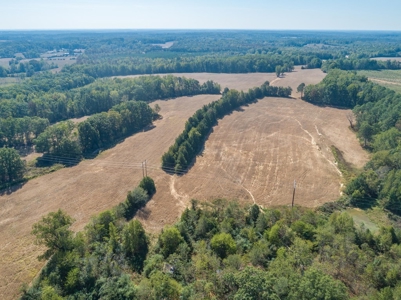 Farmland In Southern VA - image 16