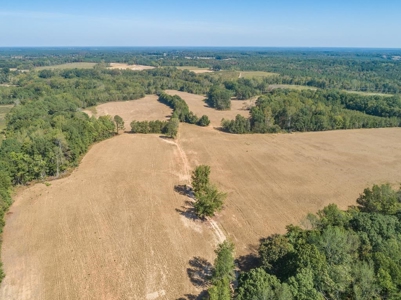 Farmland In Southern VA - image 1