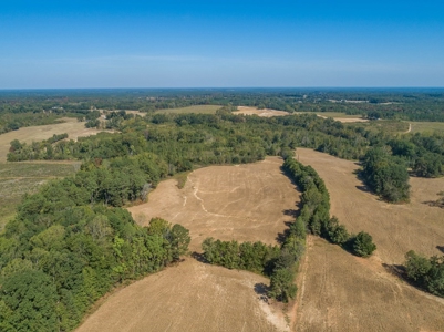 Farmland In Southern VA - image 6
