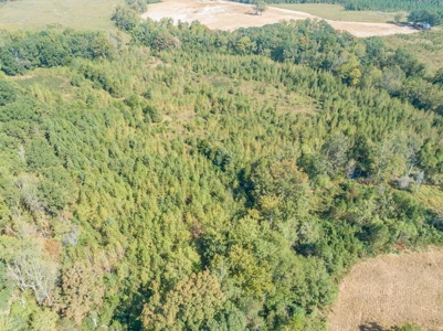 Farmland In Southern VA - image 10