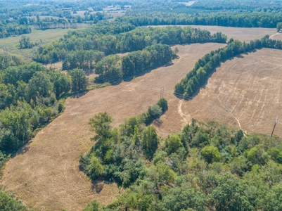 Farmland In Southern VA - image 18